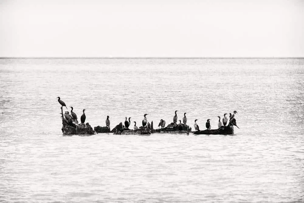 Facing the sea by Olivier Bezombes