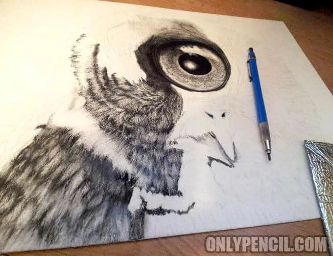 Evolution Great Gray Owl by Lisandro Pena