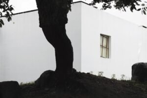 Bairro da Malagueira, Álvaro Siza Vieira, 2018 (1) by Photographer Gonçalo Duarte Pacheco