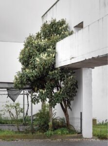 Bairro da Malagueira, Álvaro Siza Vieira, 2018 by Photographer Gonçalo Duarte Pacheco