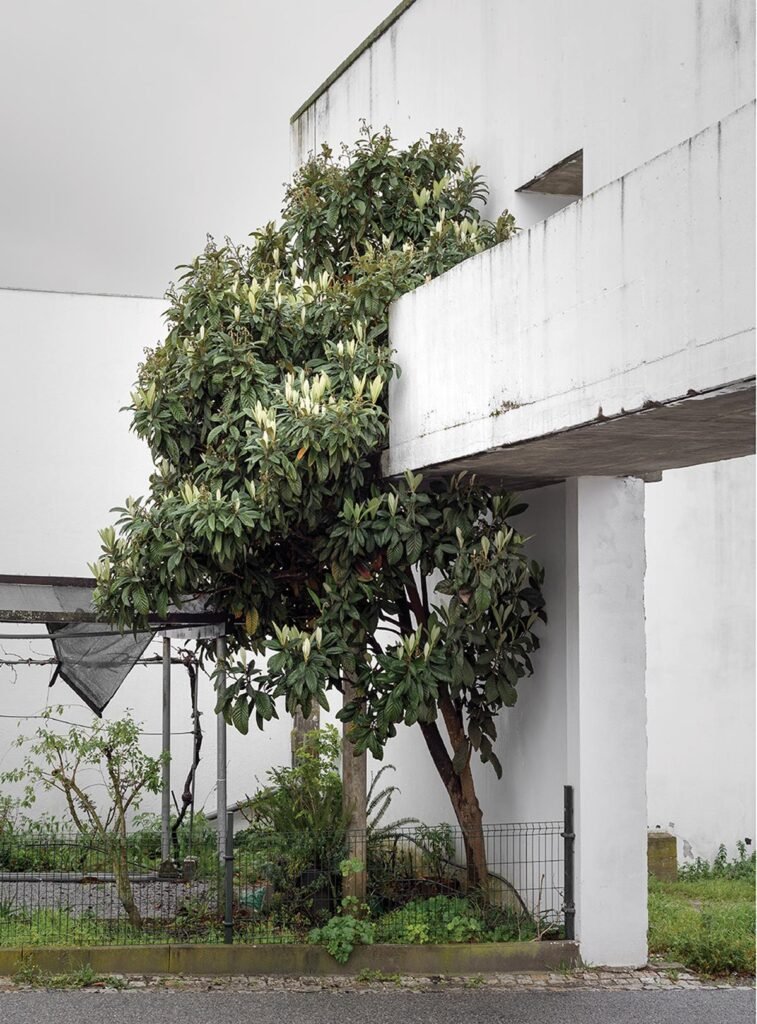 Bairro da Malagueira, Álvaro Siza Vieira, 2018 by Photographer Gonçalo Duarte Pacheco