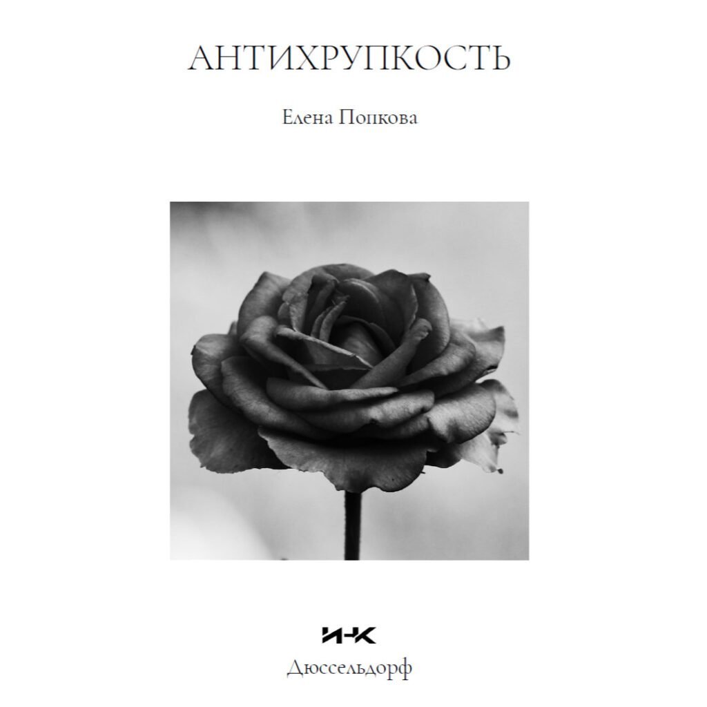Antifragility The Life of a Rose by Elena Popkova