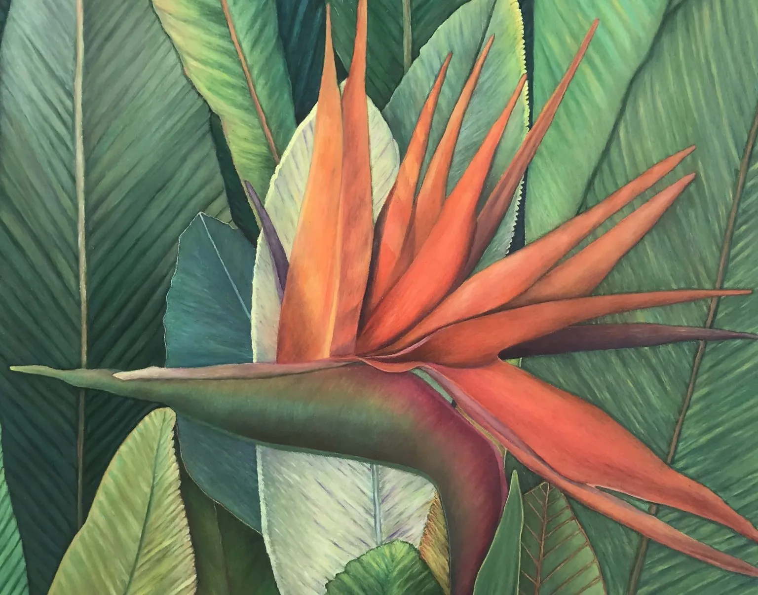 Illustration of a vibrant orange and pink bird of paradise flower with elongated petals set against a background of large, overlapping green leaves in varying shades, creating a lush, tropical vibe. The detailed textures emphasize the rich and vivid nature of the foliage.